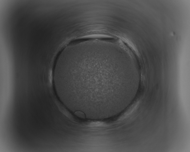 X0000101100397200806261517