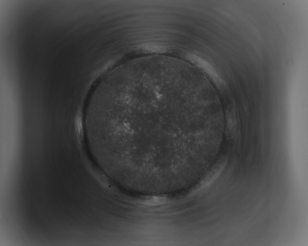 X0000101100398200806261517