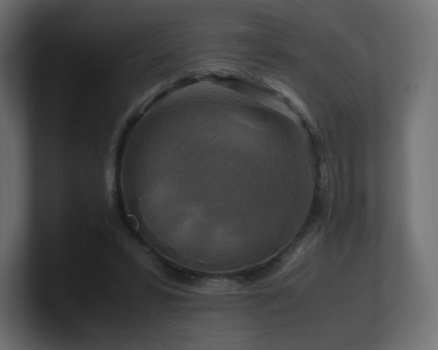 X0000101100399200806261517