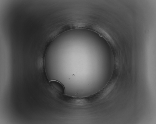 X0000101100401200806261517