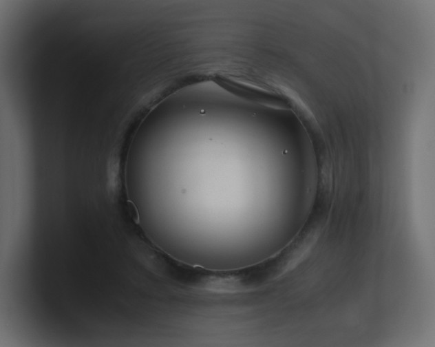X0000101100403200806261517
