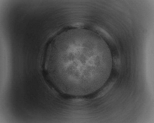 X0000101100404200806261517