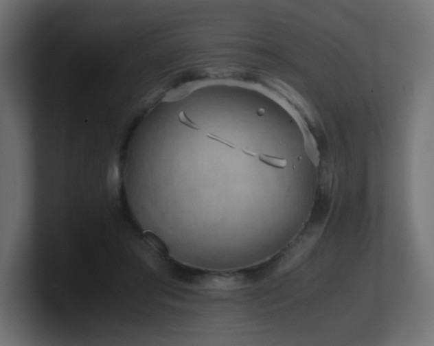 X0000101100405200806261517