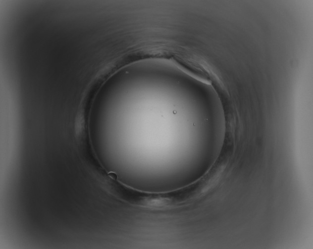 X0000101100407200806261517