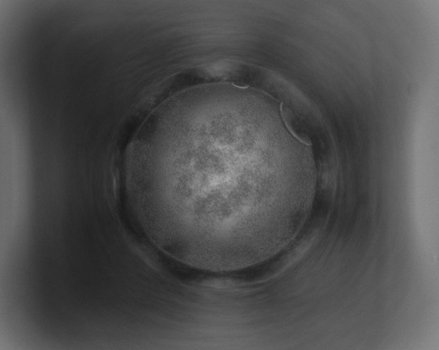 X0000101100408200806261517