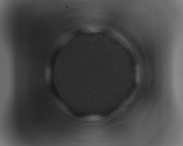 X0000101100410200806261516