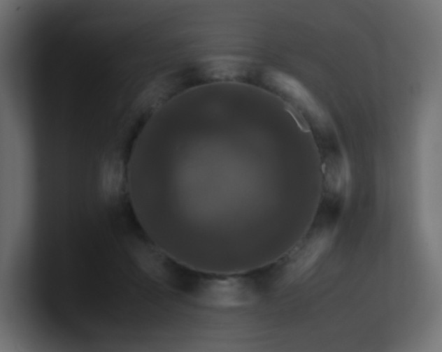 X0000101100411200806261516