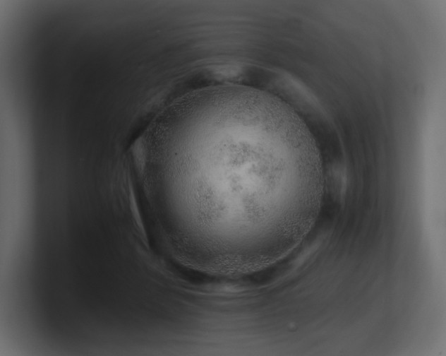 X0000101100412200806261516