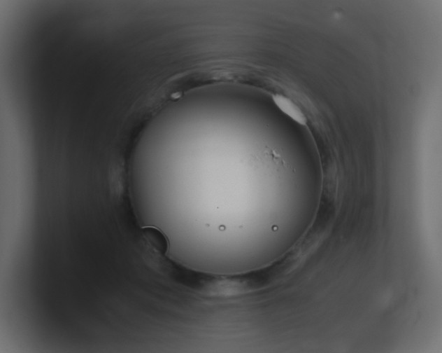 X0000101100413200806261516