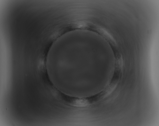 X0000101100415200806261516