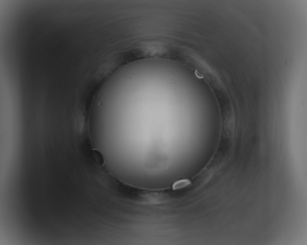 X0000101100417200806261516