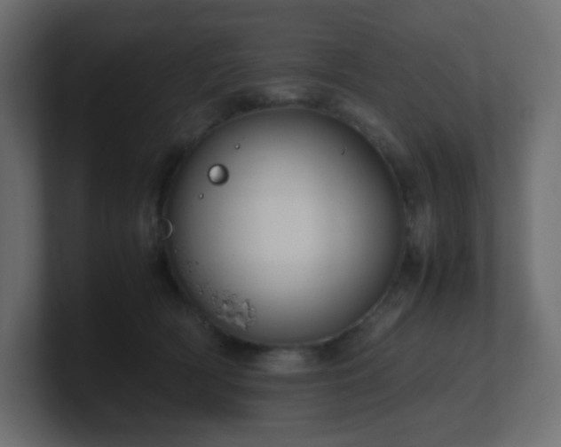 X0000101100418200806261516