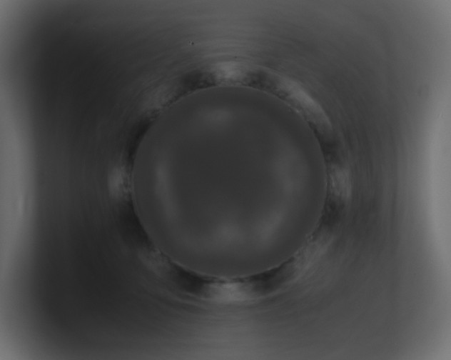 X0000101100419200806261516