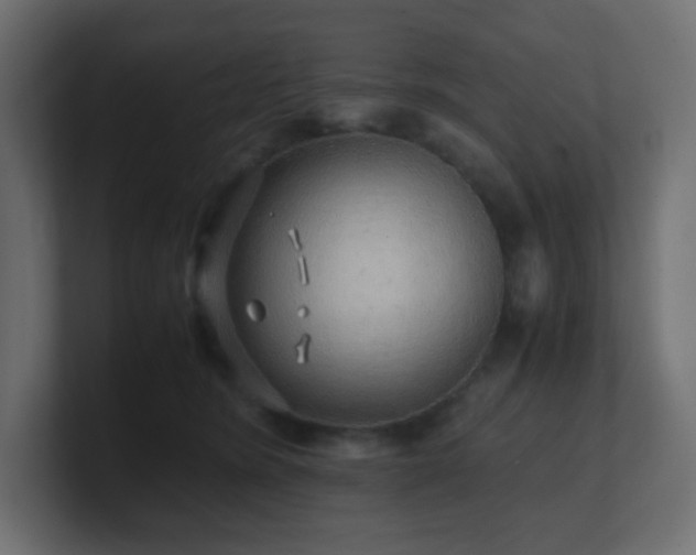 X0000101100420200806261516