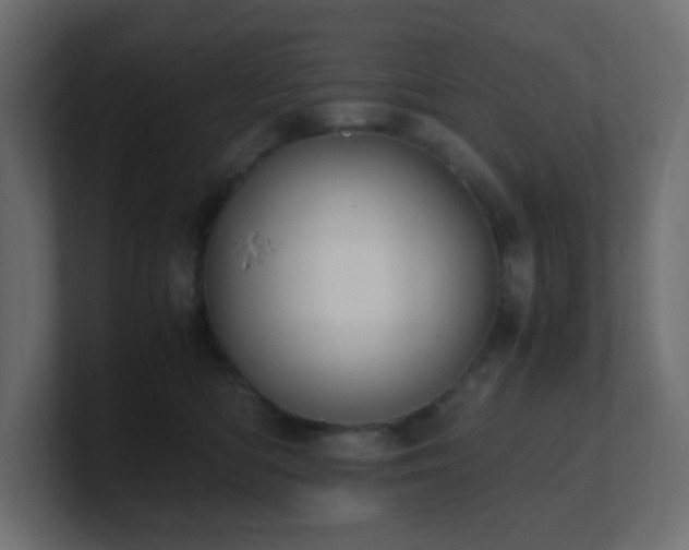 X0000101100422200806261516