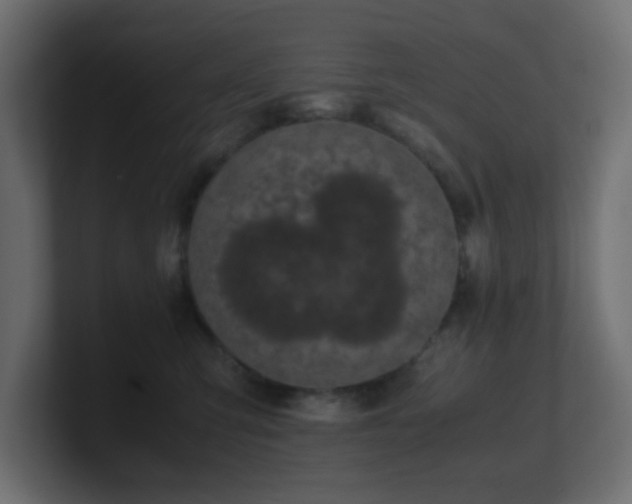 X0000101100423200806261516