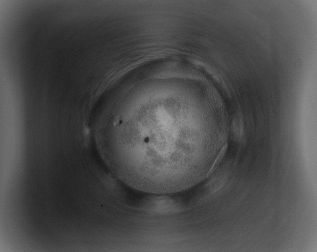 X0000101100424200806261516