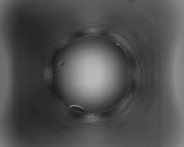 X0000101100425200806261516