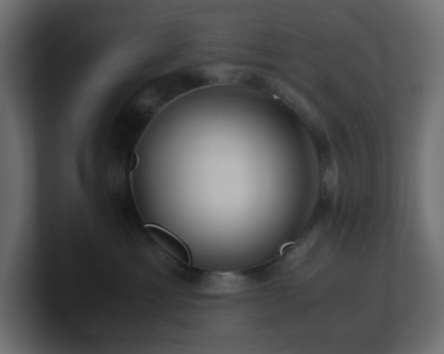 X0000101100429200806261516