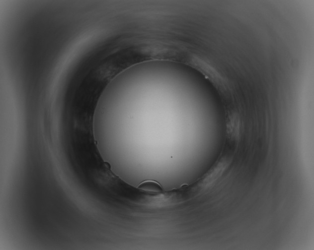 X0000101100430200806261516