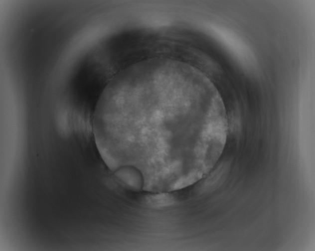 X0000101100431200806261516