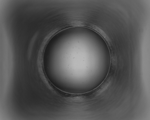 X0000101100433200806261515