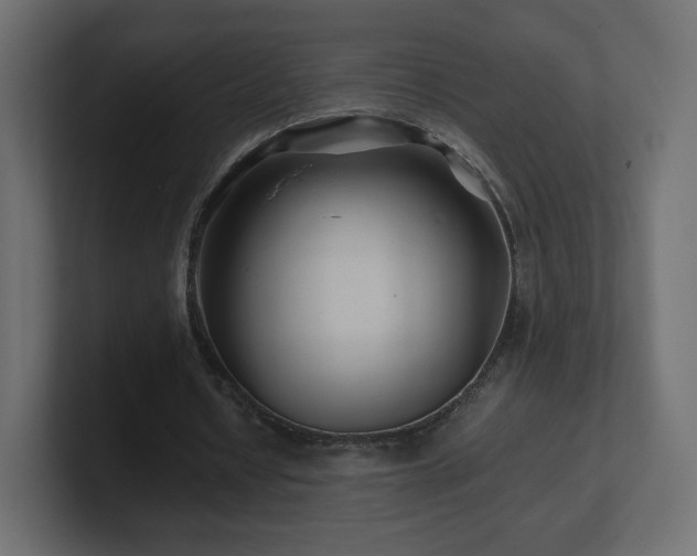 X0000101100434200806261515