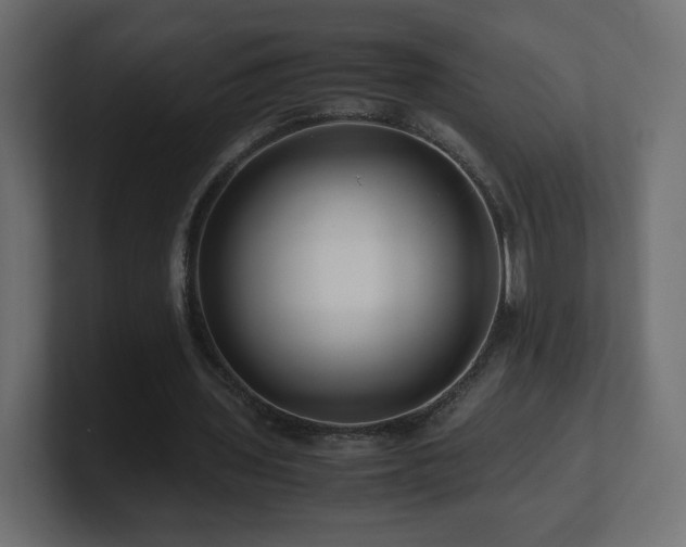 X0000101100435200806261515