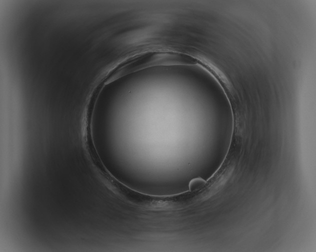 X0000101100437200806261516