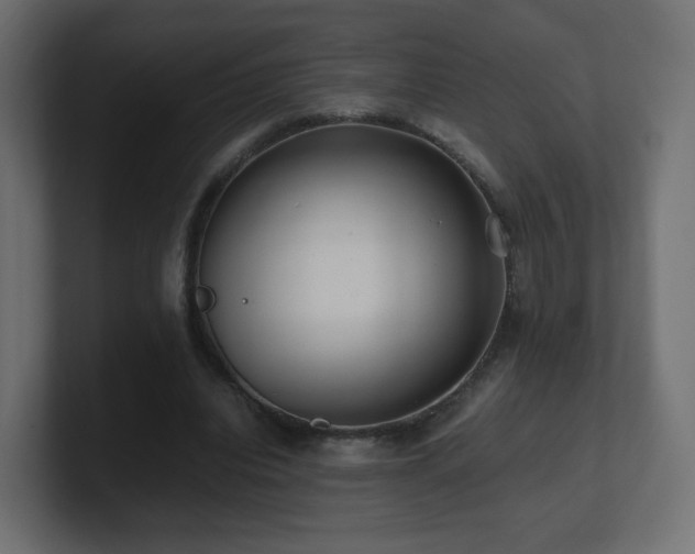 X0000101100440200806261516
