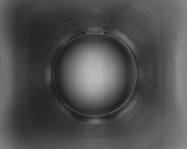 X0000101100441200806261516