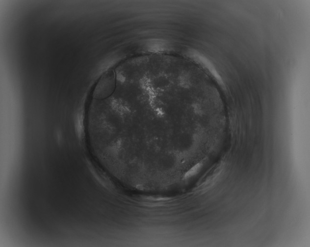X0000101100443200806261516