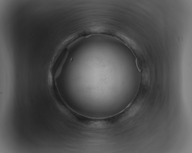 X0000101100446200806261516