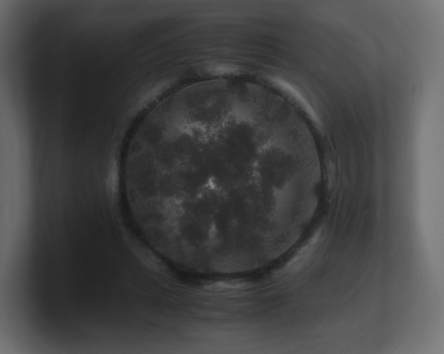 X0000101100447200806261516