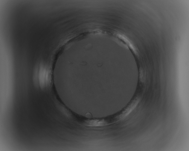 X0000101100449200806261516