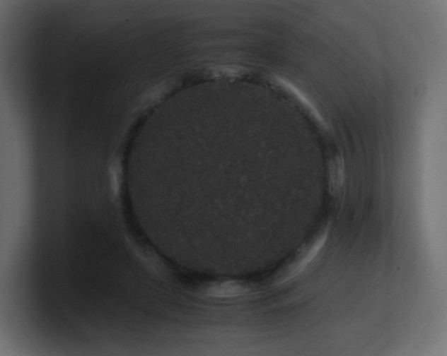 X0000101100451200806261516