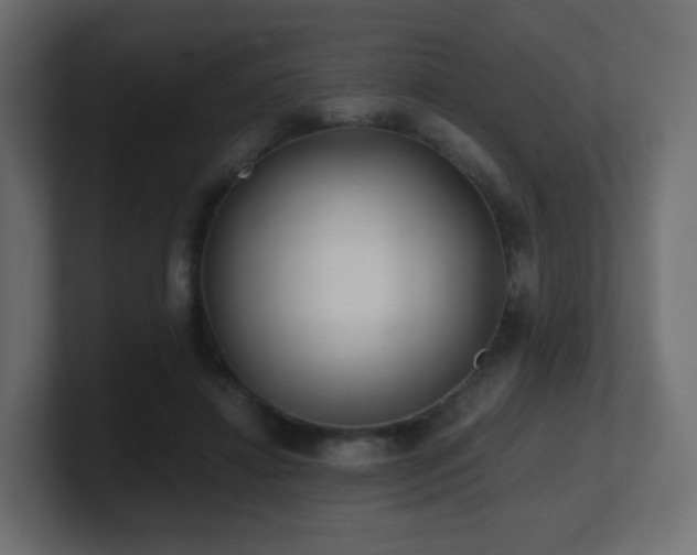 X0000101100452200806261516