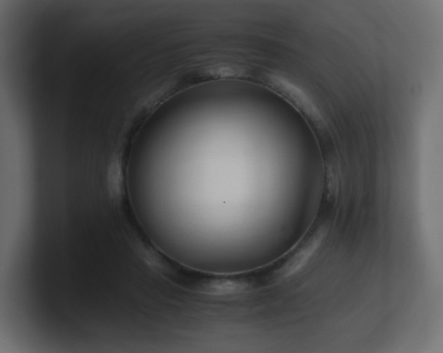 X0000101100453200806261516