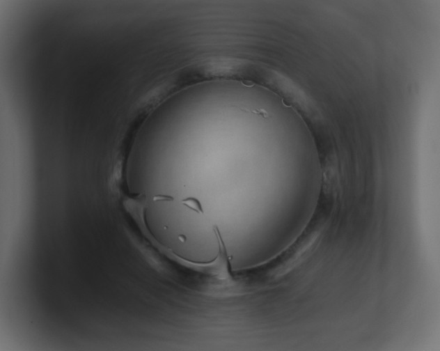 X0000101100454200806261516