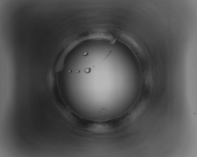 X0000101100455200806261516