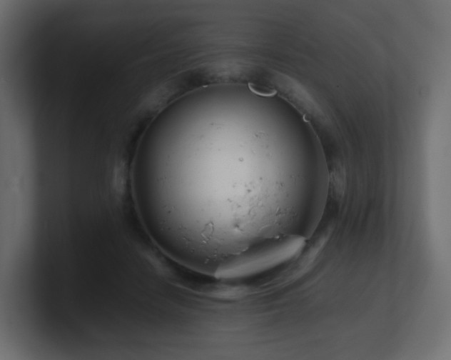 X0000101100458200806261516