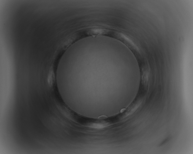 X0000101100459200806261516