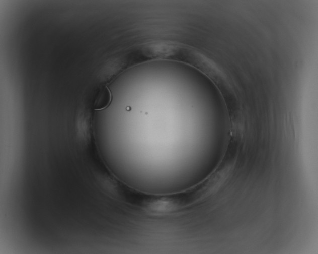 X0000101100460200806261516