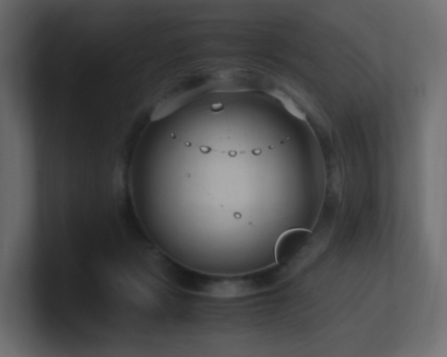 X0000101100461200806261516