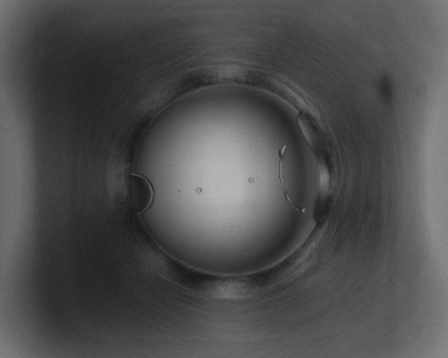 X0000101100462200806261516
