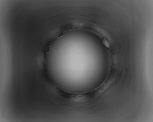 X0000101100463200806261516