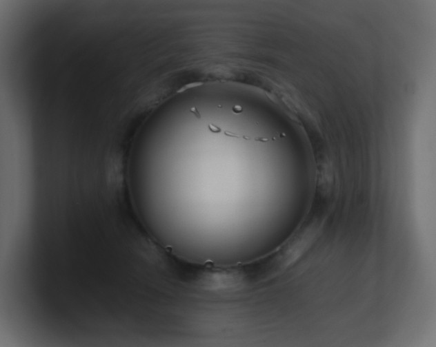 X0000101100466200806261516