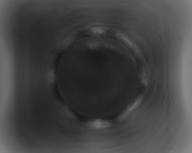 X0000101100467200806261516