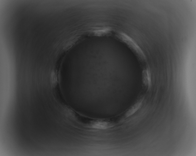 X0000101100471200806261516