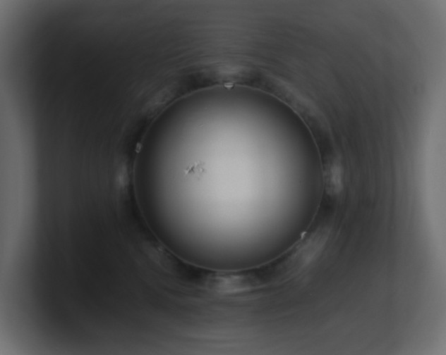 X0000101100472200806261516